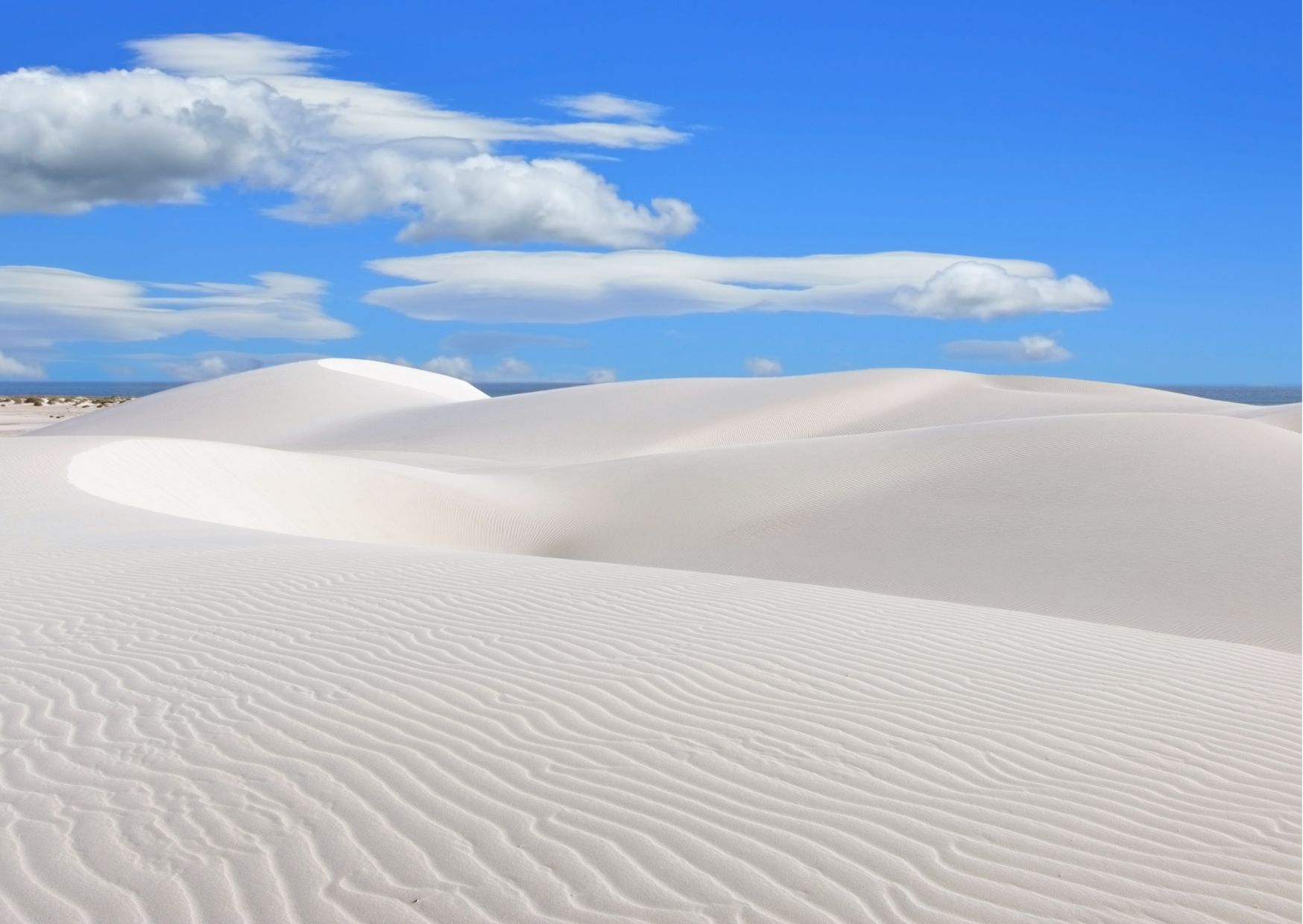 viaggio di gruppo socotra
